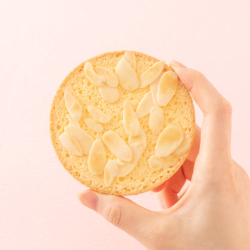 あじさい1枚 手持ち