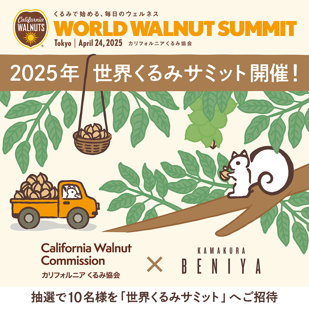 【販売終了】「世界くるみサミット」記念セット(カリフォルニアくるみ協会コラボ企画)(クルミッ子8個 クルミとパイ4本 ポケットブラウニー2個)