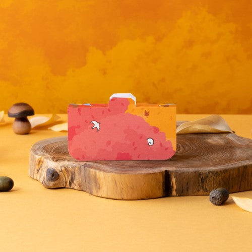 【販売終了】詰合せ01 ハウス型BOX(2024紅葉)(クルミッ子2個 あじさい1枚 鎌倉だより3枚)